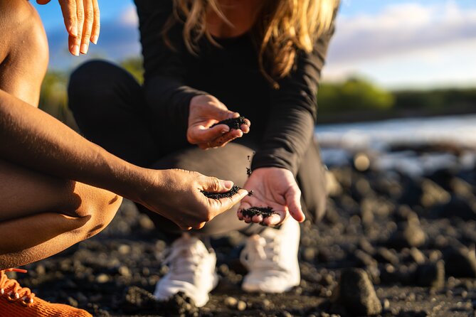 Big Island Highlights: Coffee, Volcano, Black Sands & Waterfall - Centralized Pickup Locations