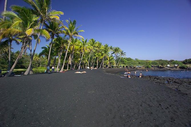 Big Island in a Day: Volcanoes Waterfalls Sightseeing and History - Big Islands Diverse Ecosystem
