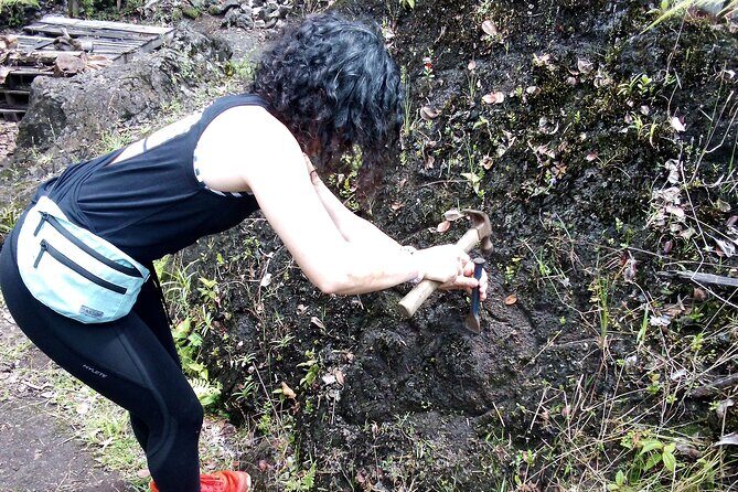 Big Island Jungle Tour with Banana and Guava Green Tea - Introduction