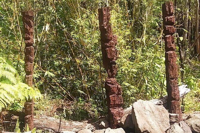 Big Island Jungle Tour with Banana and Guava Green Tea - Authenticity and Cultural Connection