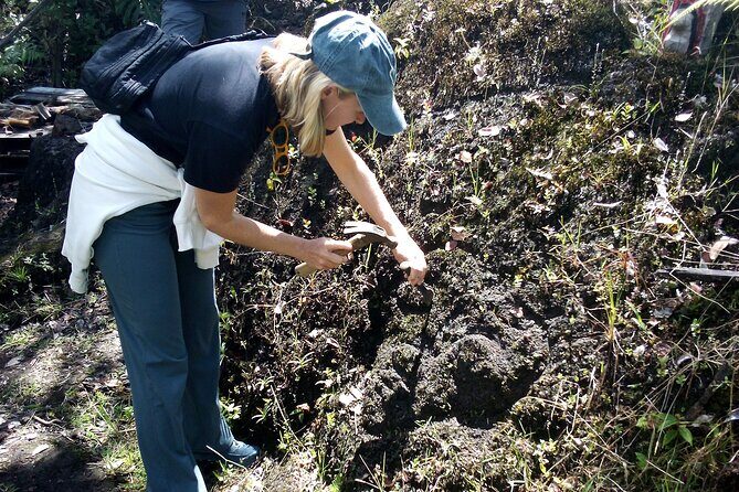 Big Island Jungle Tour with Banana and Guava Green Tea - FAQs