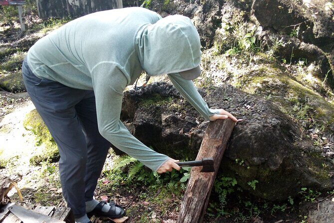 Big Island Jungle Tour with Banana and Guava Green Tea - The Sum Up