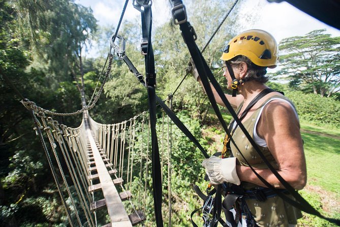 Big Island Kohala Canopy Zipline Adventure - Pricing and Booking