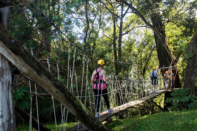 Big Island Kohala Canopy Zipline Adventure - Cancellation Policy and Traveler Reviews