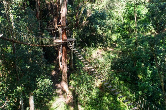 Big Island Kohala Canopy Zipline Adventure - Directions and Meeting Point