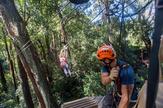 Big Island Kohala Canopy Zipline Adventure - Common Questions