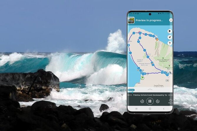 Big Island - Kohala Coast & Backcountry Driving Tour - Insider Tips and Recommendations