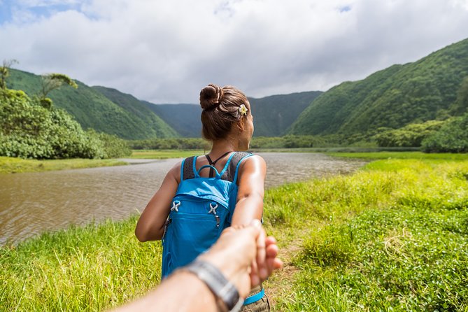 Big Island - Kohala Coast & Backcountry Driving Tour - Dining and Refreshment Options
