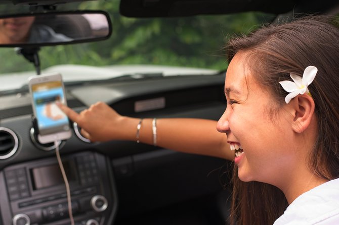 Big Island - Kohala Coast & Backcountry Driving Tour - Safety and Preparation Guidelines