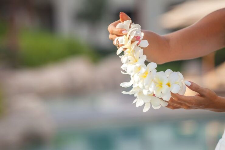 Big Island: Kona Airport Traditional Lei Greeting - Activity Details