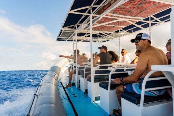 Big Island: Kona Raft and Snorkel Adventure - Select Participants and Date
