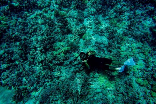 Big Island: Kona Raft and Snorkel Adventure - Directions