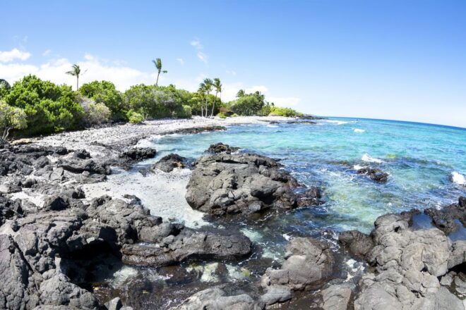 Big Island: Luxury Catamaran Trip Along the Kona Coast - Catamaran Features and Amenities