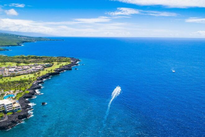 Big Island: Luxury Catamaran Trip Along the Kona Coast - Sightseeing and Wildlife Encounters