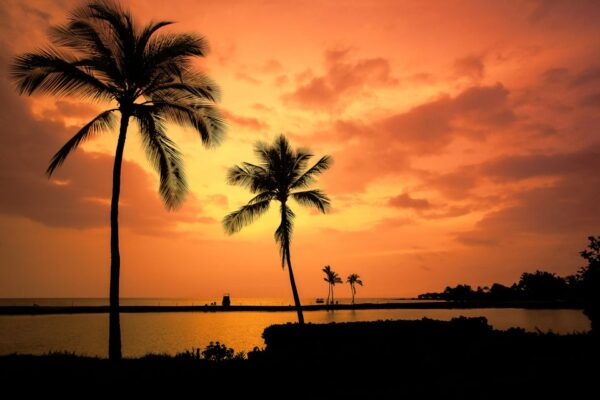 Big Island: Luxury Catamaran Trip Along the Kona Coast - Booking and Reservation Information