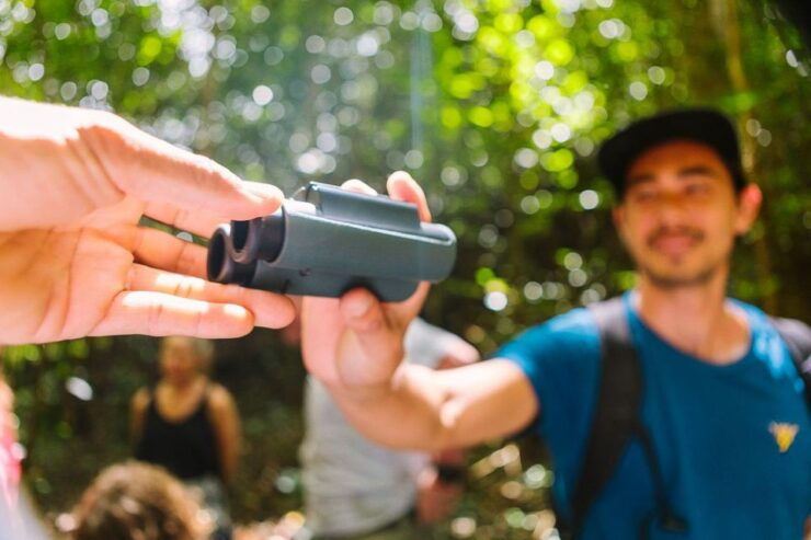 Big Island: Native Bird Watching & Hiking Tour - Activity Details