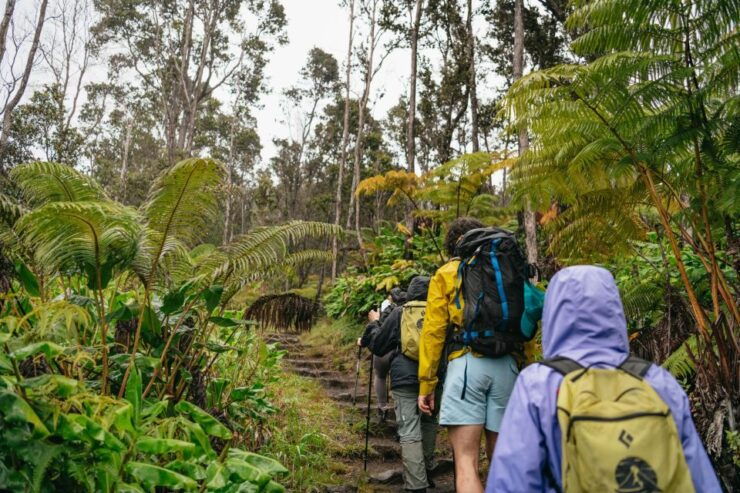 Big Island: Nature's Haven: Volcano Hike in National Park! - Tour Details