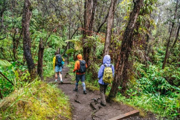 Big Island: Nature's Haven: Volcano Hike in National Park! - Common Questions