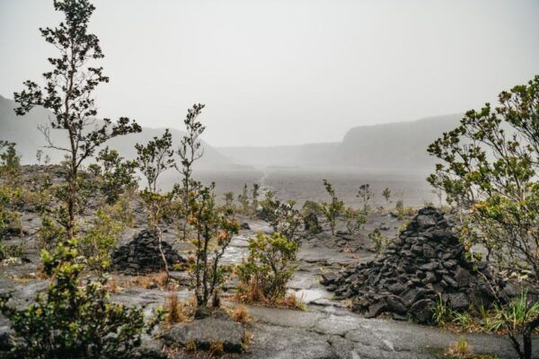 Big Island: Nature's Haven: Volcano Hike in National Park! - The Sum Up