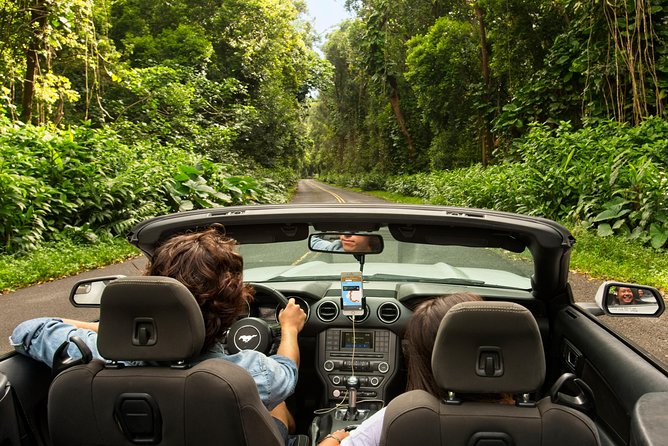 Big Island - North Island Jungle Driving Tour - Directions and Navigation Tips