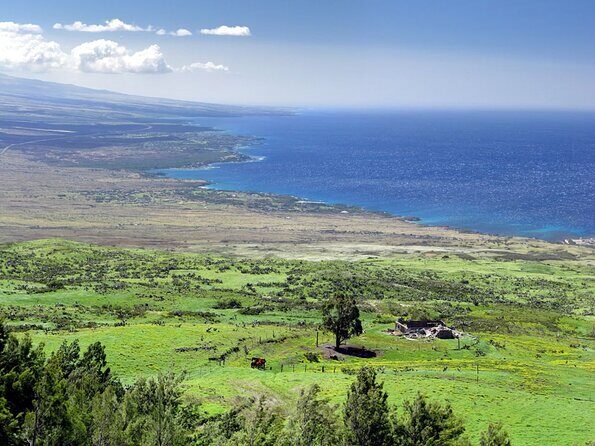 Big Island North Kohala Coast and Pololu Lookout Private Tour - Good To Know