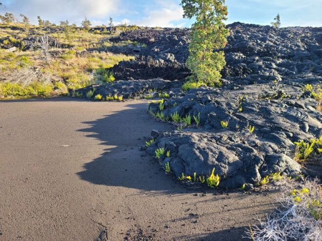 Big Island: Private Volcano Tour - Volcanoes Natl Park - Highlights