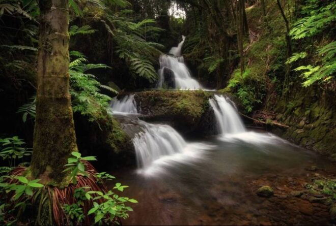 Big Island: Small Group Waterfalls Adventure - Full Description of the Tour