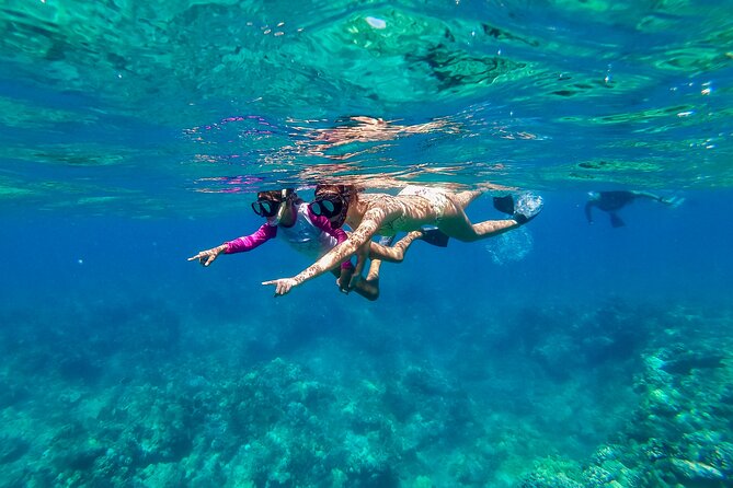 Big Island Snorkel Cruise From Waikoloa - Mixed or Negative Reviews of the Snorkel Cruise