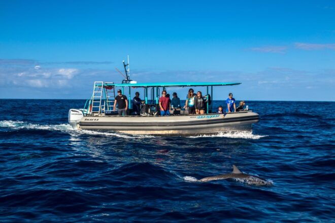 Big Island: South Kona Snorkeling and Coastline Exploration - Customer Reviews