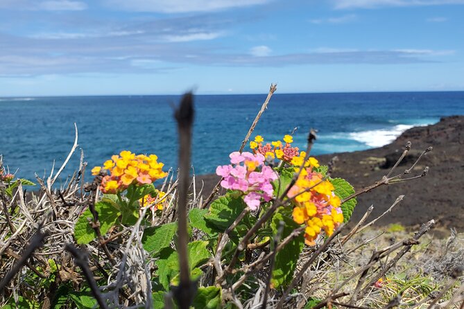 Big Island Southside ATV Tours - Tour Details
