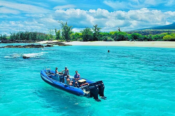 Big Island Speed Boat Snorkel Dolphin and Whale Watch Combo  - Big Island of Hawaii - Highlights of the Tour