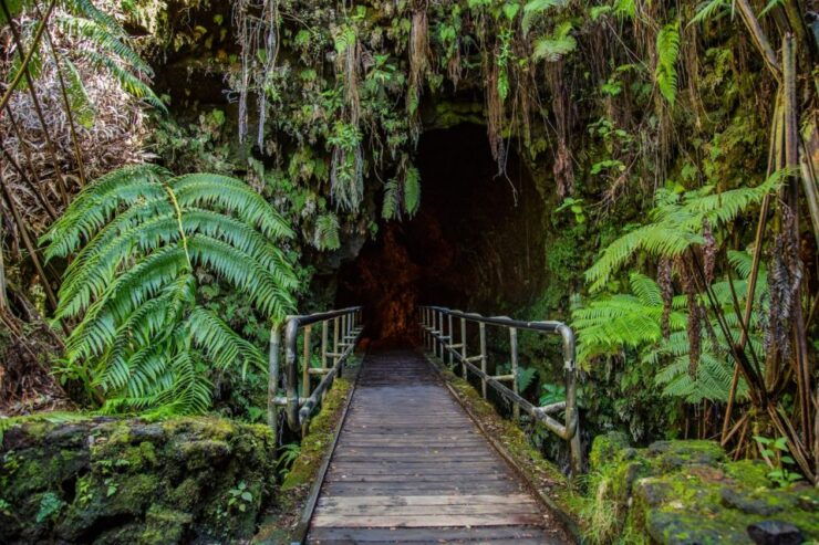 Big Island: Volcanoes, Waterfalls, & Coffee Farm Day-Trip - Highlights of the Activity