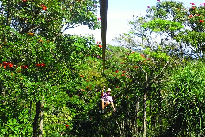 Big Island Zipline Adventure - 2 1/2 Hours - Zipline Experience