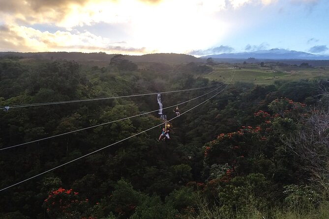 Big Island Zipline Adventure - 2 1/2 Hours - Inclusions