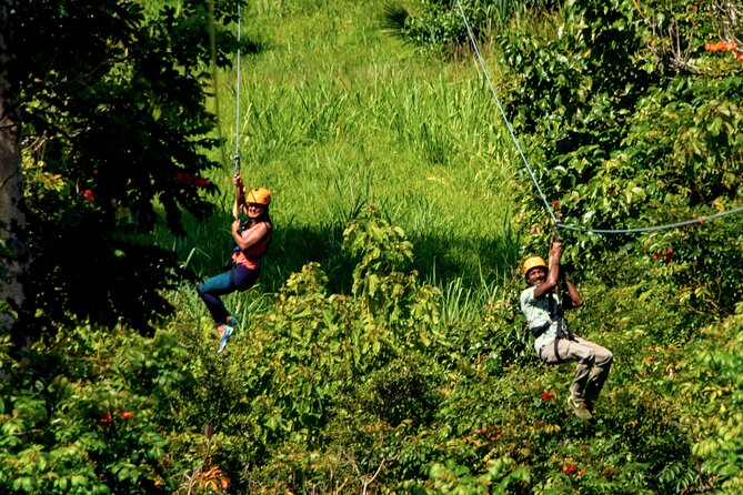 Big Island Zipline Adventure - 2 1/2 Hours - Requirements and Cancellation Policy