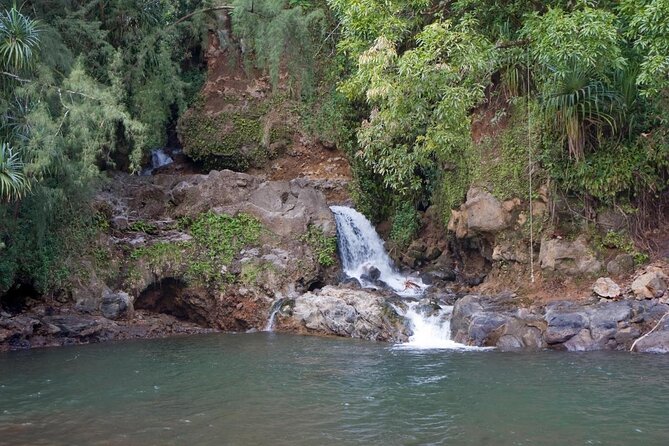 Big Island Zipline Over KoleKole Falls - Thrilling 7-Line Ziplining Tour