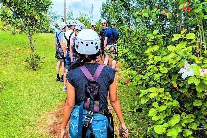 Big Island Zipline over KoleKole Falls w/ Hilo Cruise Ship Pickup - FAQ