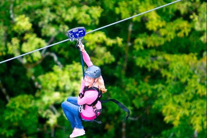 Big Island Zipline over KoleKole Falls w/ Hilo Cruise Ship Pickup - The Sum Up