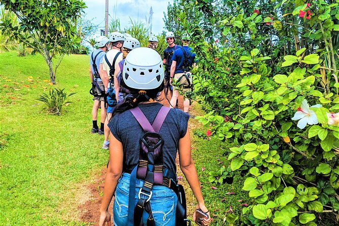 Big Island Zipline over KoleKole Falls w/ Hilo Cruise Ship Pickup - FAQs