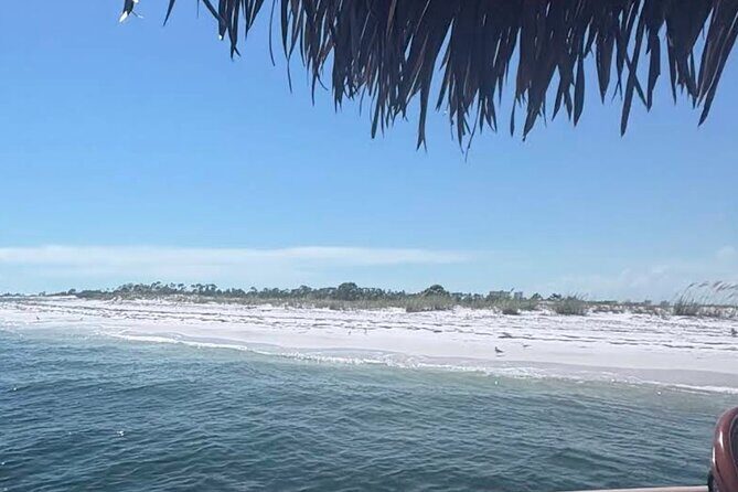 Big Kahuna Sunset Dolphin Cruise Experience - FAQs