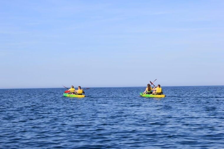 BIG MAMA KAYAK TOURS - What Sets This Tour Apart?