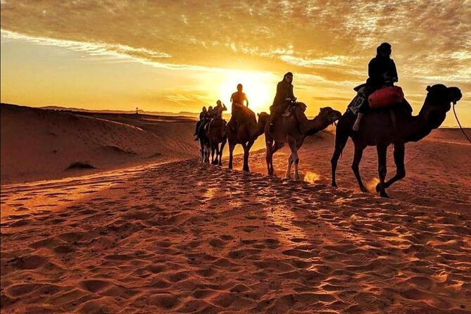 Big Sahara Trip :Ouarzazate /Zagora /Mhamid/ Erg Chegaga/3 Days 2 Nights - Day 1: Ouarzazate to Zagora