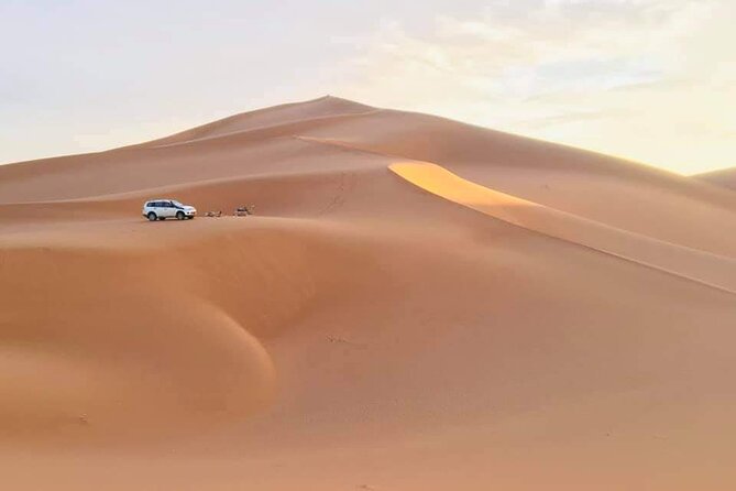 Big Sahara Trip :Ouarzazate /Zagora /Mhamid/ Erg Chegaga/3 Days 2 Nights - Tips and Recommendations