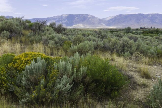 Big Sky Self-Guided Driving Tour - Flexibility