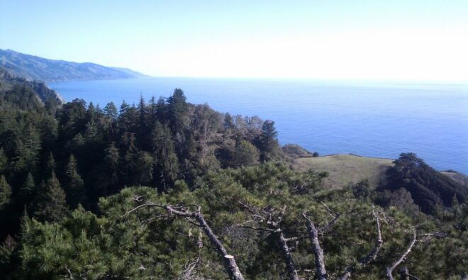 Big Sur: Sightseeing Tour With 4 to 5 Stops - Common Questions