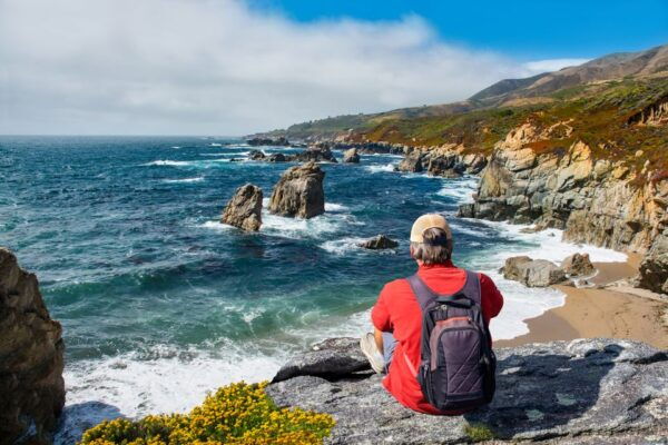 Big Sur: Sightseeing Tour With 4 to 5 Stops - The Sum Up