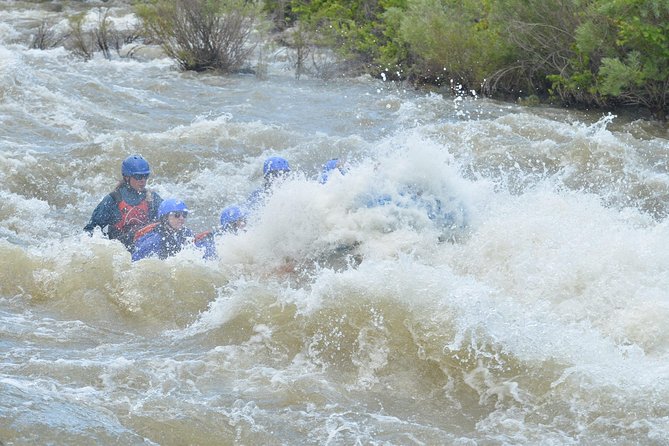 Bighorn Sheep Canyon Half-Day Rafting - Whitewater Rapids and Expert Guide