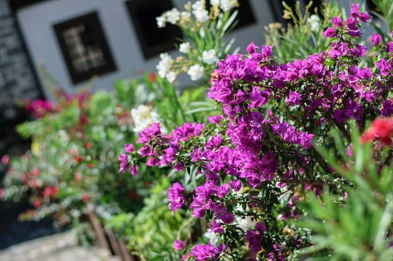 Bigorski Monastery and Duff Waterfalls from Ohrid and Struga - Who Will Enjoy This Tour?