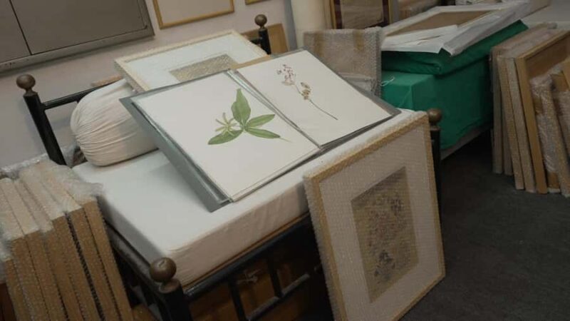 Bikaner: Botanical Miniature Painting Experience - Good To Know