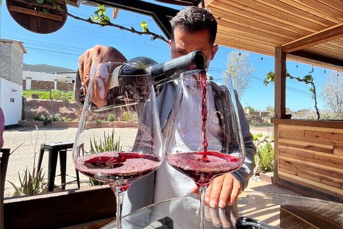 "Bike 2 wine", Exploring vineyards on a bike - A Deep Dive into the "Bike 2 Wine" Experience